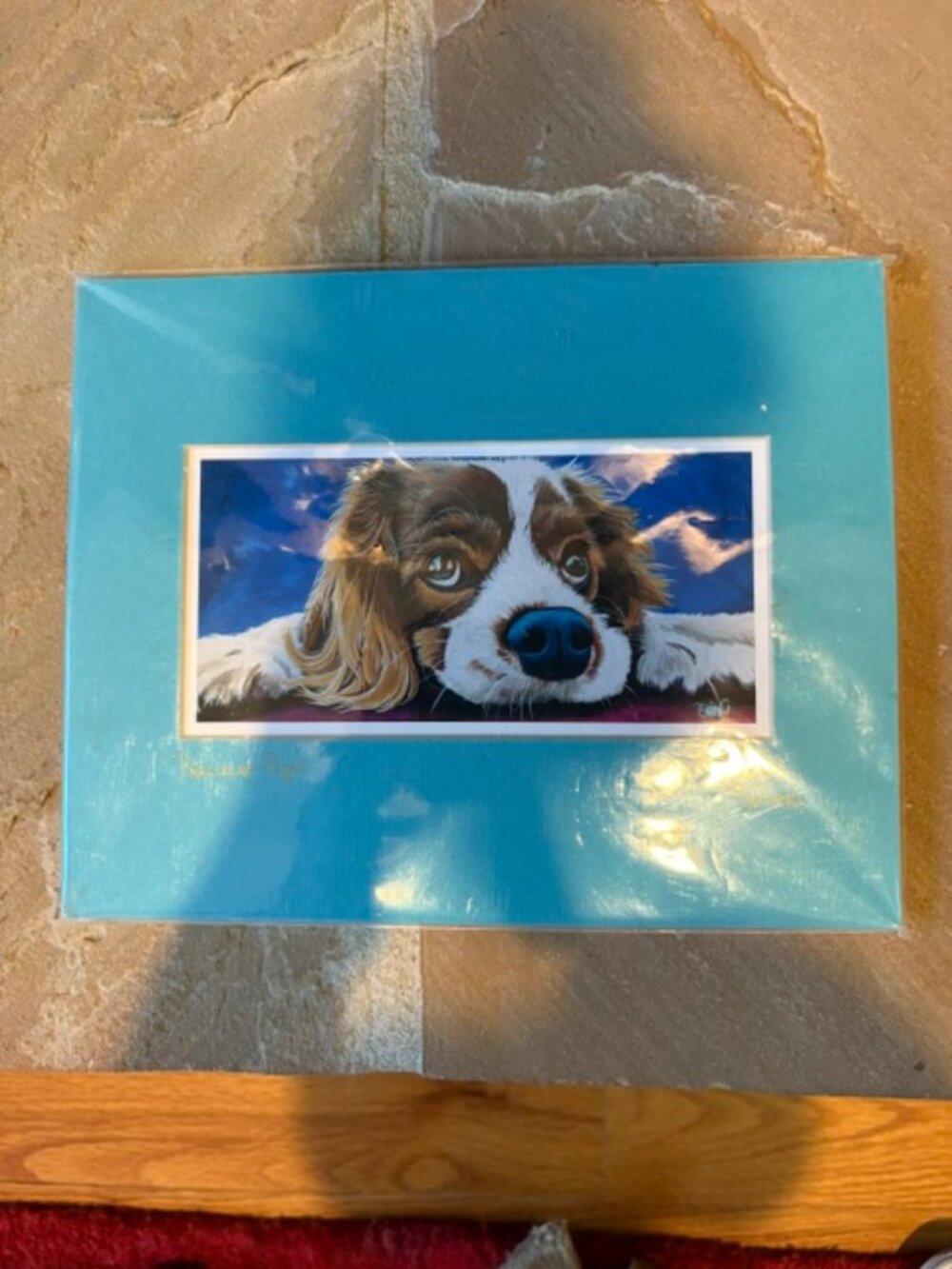 NWT Signed Matted Dog Print Erin Nelson Precious Eyes Spaniel Keleri Art Studio